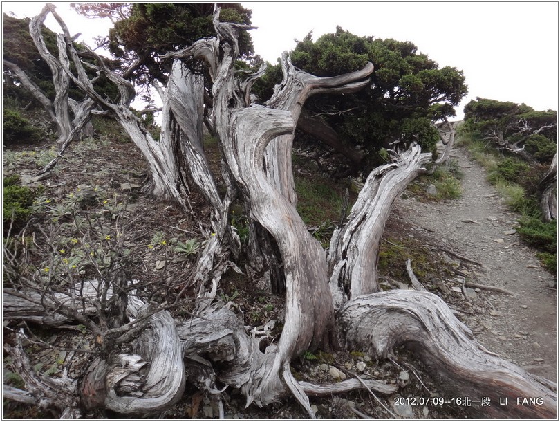 2012-07-11 13-47-18挺進五岩峰.JPG